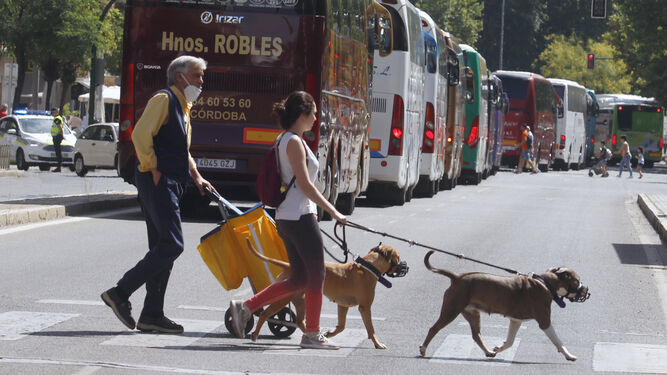 Una pareja pasea con sus perros por una calle de Córdoba.
