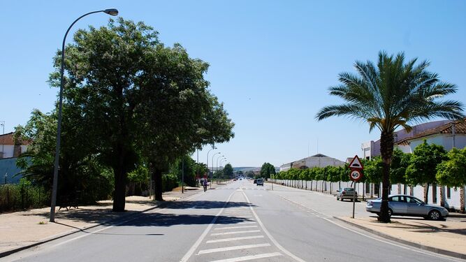 Avenida Aulio Cornelio de Palma del Río.