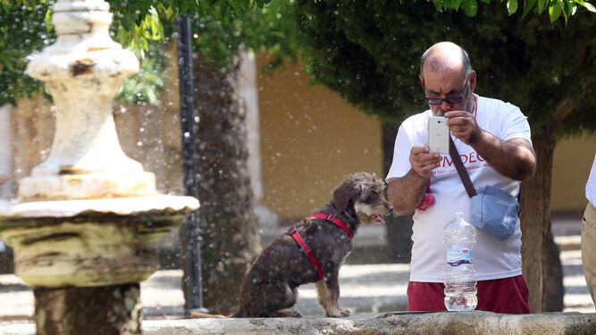 Un hombre toma una foto de su perro en una de las fuentes de la Mezquita-Catedral de Córdoba.