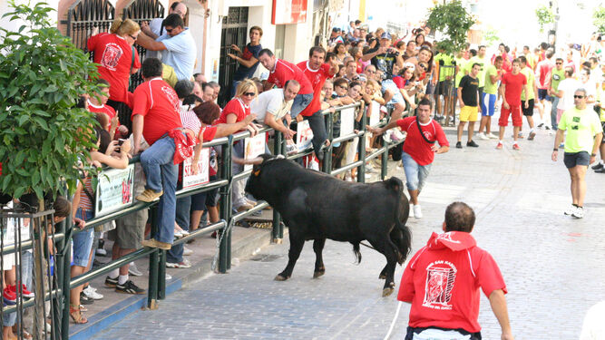 Celebración del toro de cuerda en Carcabuey.