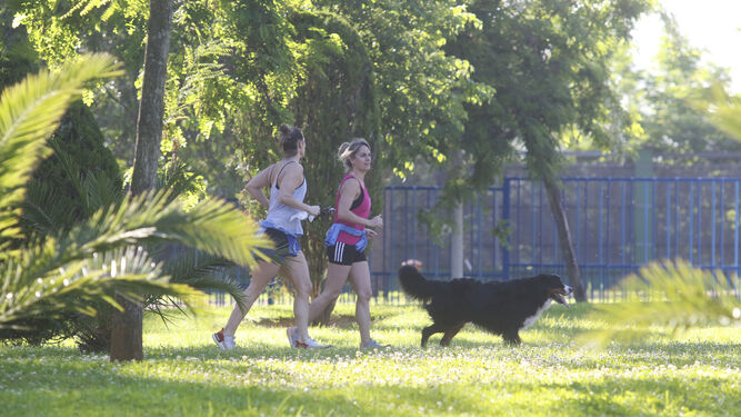 Dos mujeres hacen deporte en un parque de Córdoba.