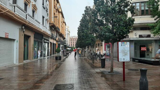 Varias personas se protegen de la lluvia en la calle Cruz Conde.