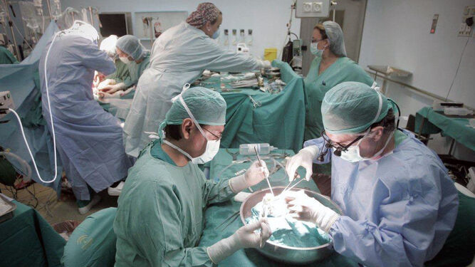 Profesionales del Reina Sofía, durante un trasplante.