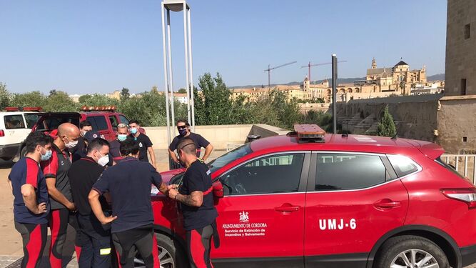 Un grupo de voluntarios del cuerpo de bomberos de Córdoba