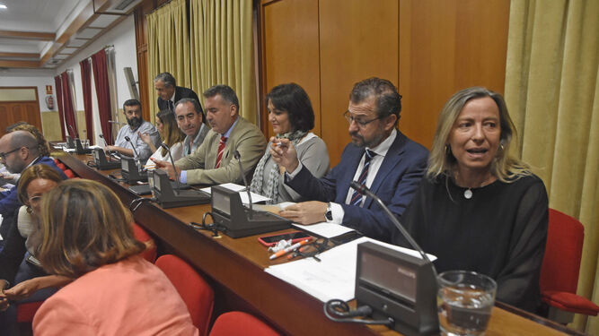 Concejales de Cs en el Ayuntamiento de Córdoba, con Isabel Albás al frente.