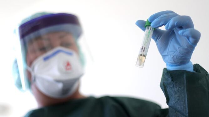 Alemania quiere que los laboratorios veterinarios hagan test de coronavirus