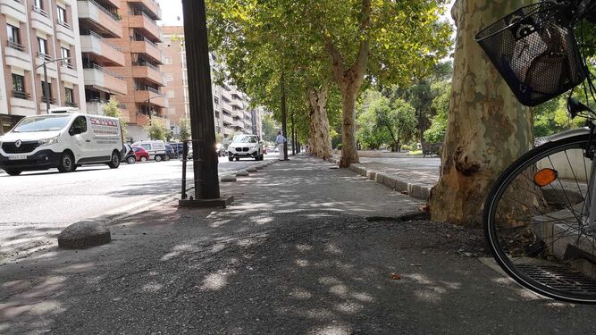 Estado del carril bici en la avenida de Cervantes.