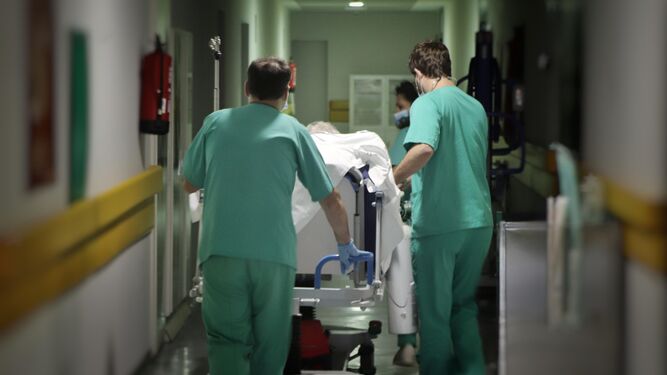 Profesionales sanitarios trasladan a un paciente en las Urgencias del Reina Sofía.