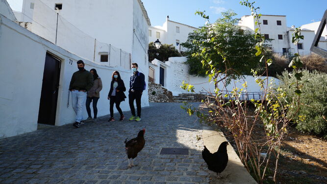 Las fotograf&iacute;as de un paseo por Zuheros, el municipio de C&oacute;rdoba que resiste libre de covid