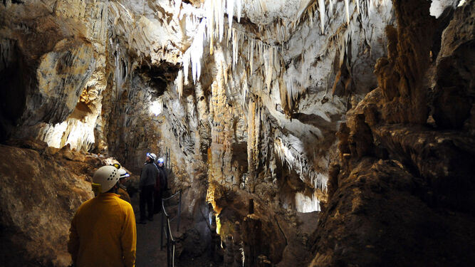 La Cueva de los Murciélagos de Zuheros también está incluida en las actividades.