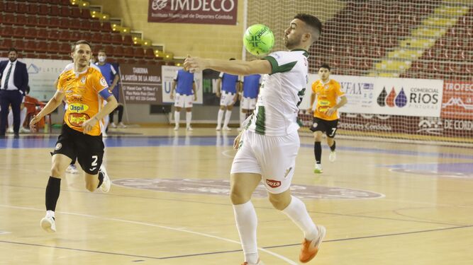 La derrota del C&oacute;rdoba Futsal ante el Ribera Navarra, en im&aacute;genes