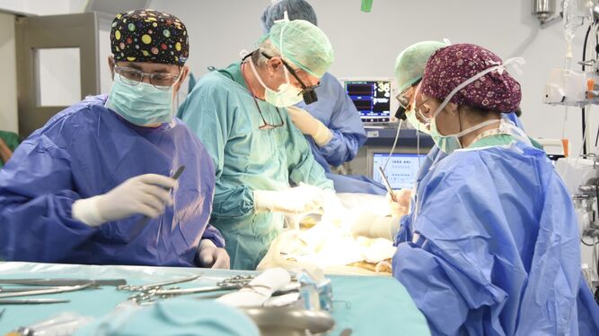 Profesionales del Hospital Reina Sofía, durante un trasplante hepático.