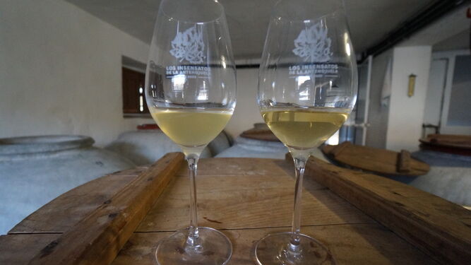 Dos vinos de diferentes pagos, muy distintos entre s&iacute;.