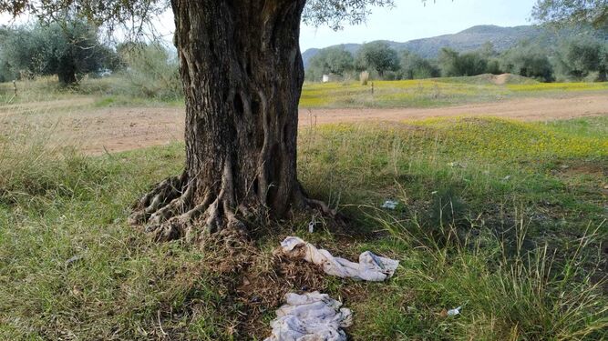 La basura que estropea el id&iacute;lico paisaje de El Patriarca
