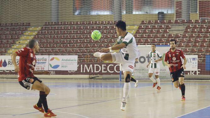 Las fotograf&iacute;as de la victoria del C&oacute;rdoba Futsal ante F&uacute;tbol Emotion Zaragoza