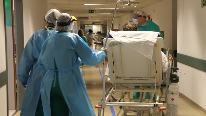 Profesionales médicos atienden a un paciente con coronavirus en el Reina Sofía.