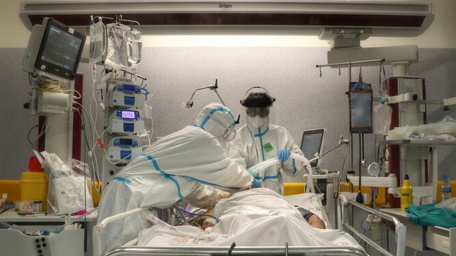 Profesionales sanitarios del Hospital Reina Sofía atienden a un paciente con coronavirus.