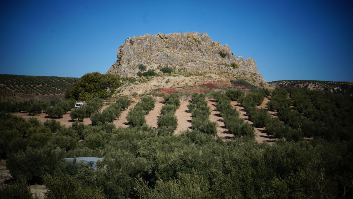 Piedra Luenga emerge entre olivares en Montilla.
