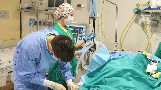Profesionales sanitarios del Reina Sofía atienden a un paciente con coronavirus.