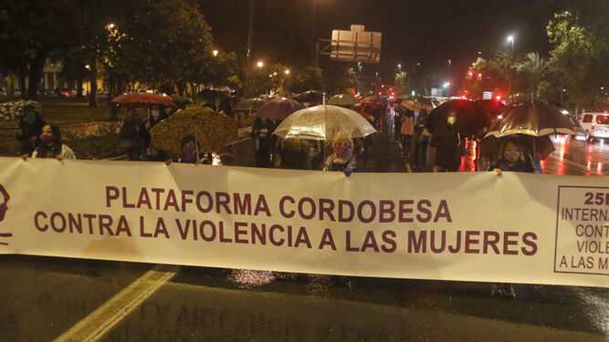 Participantes en la manifestación del 25N en Córdoba.