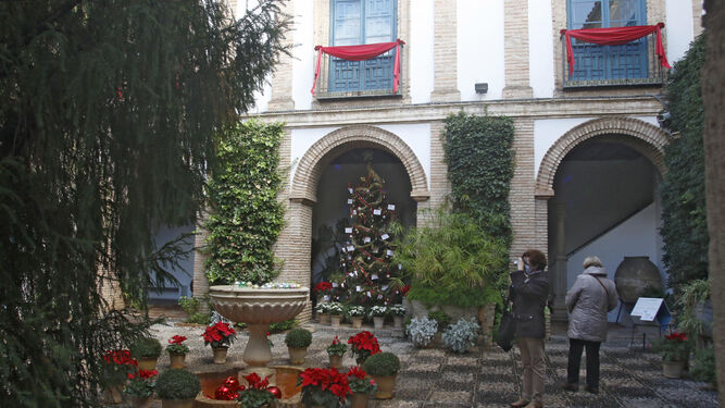 El Palacio de Viana en Navidad, en fotograf&iacute;as