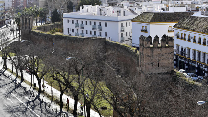 El tramo de la muralla islámica de Sevilla que discurre paralelo a la Ronda desde el Arco de la Macarena a la iglesia de San Hermenegildo.