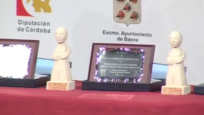 Los trofeos entregados en la Gala del Deporte de Baena 2020.