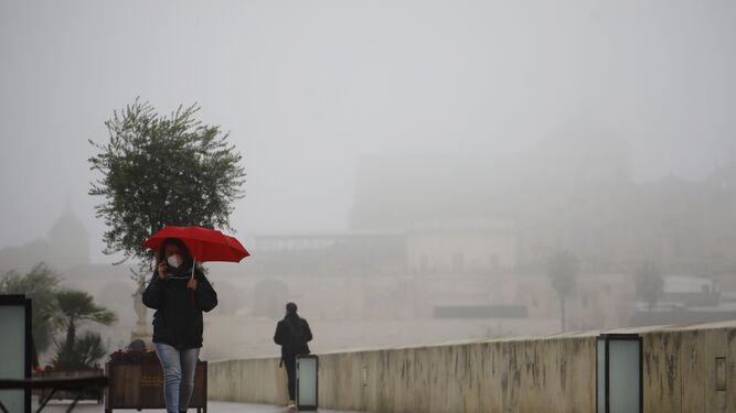 Una joven pasea bajo un paraguas por el Puente Romano de Córdoba.