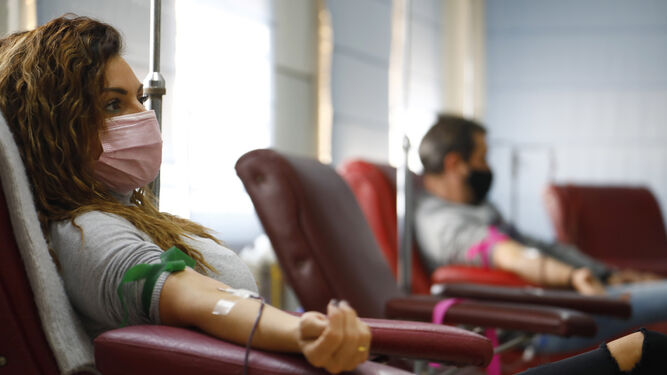 Donantes de sangre en plena donación.