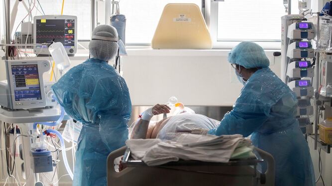 Profesionales médicos atienden a un paciente con coronavirus.