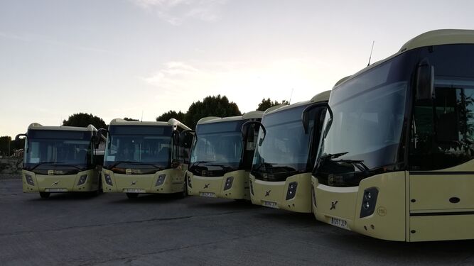 Autobuses del Consorcio de Transportes de Córdoba.