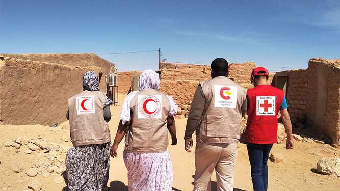 Voluntarios de Cruz Roja en el Sahara.