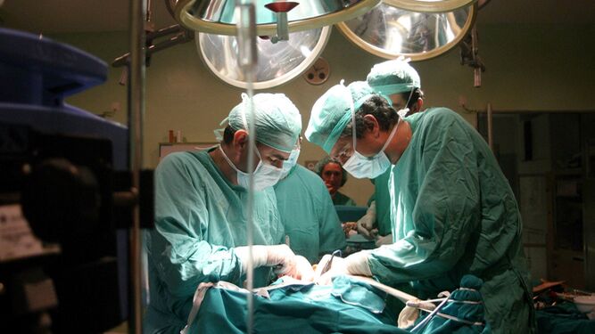 Imagen de archivo de un trasplante realizado en el Hospital Reina Sofía.