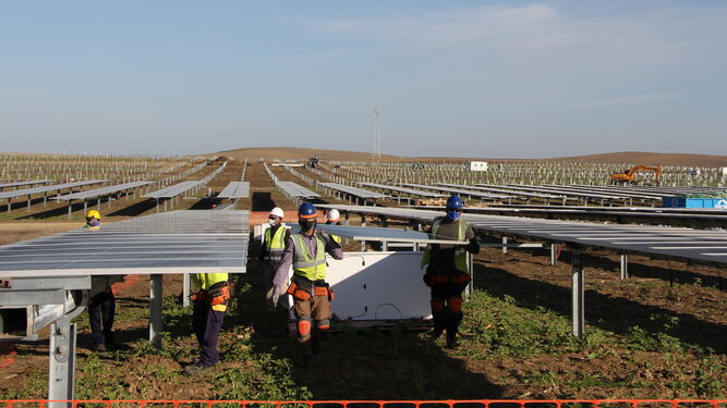 Trabajos de construcción de una planta fotovoltaica de Endesa en Carmona, en Sevilla.
