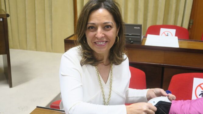 Isabel Ambrosio, en el Salón de Plenos del Ayuntamiento de Córdoba.