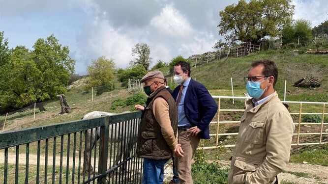 El delegado de Agricultura, Ganadería y Pesca de la Junta de Andalucía en Córdoba, Juan Ramón Pérez en su visita a la explotación equina de Cabra.