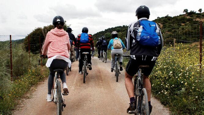 Un grupo de ciclistas por la Vía Verde del Aceite.