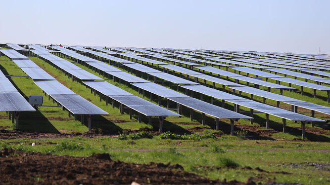 Imagen de una planta solar fotovoltaica.