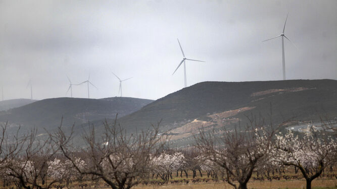 Parque de energía eólica en Granada.