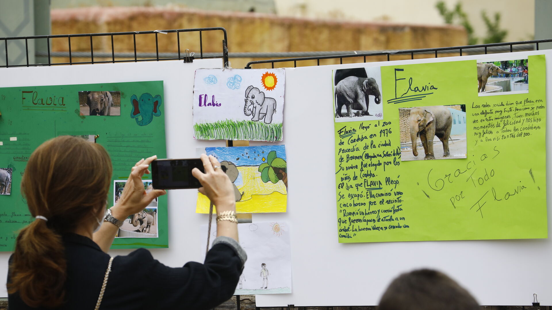 El homenaje en el zoo de C&oacute;rdoba a la elefanta Flavia, en fotograf&iacute;as