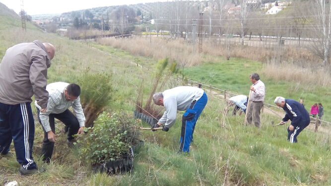Actividad realizada por Ecologistas en Acción de Baena en el entorno del río Marbella.