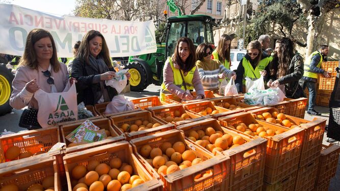 Mujeres recogen naranjas repartidas por Asaja en un acto en Córdoba.