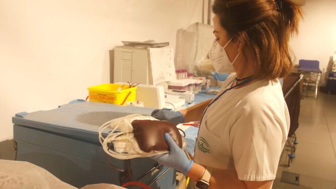 Una profesional del Centro de Transfusión guarda una bolsa de sangre extraída en una colecta.