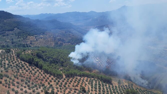 El incendio de Torres de Albanchez afecta a unas 17 hectáreas de arbolado y matorral