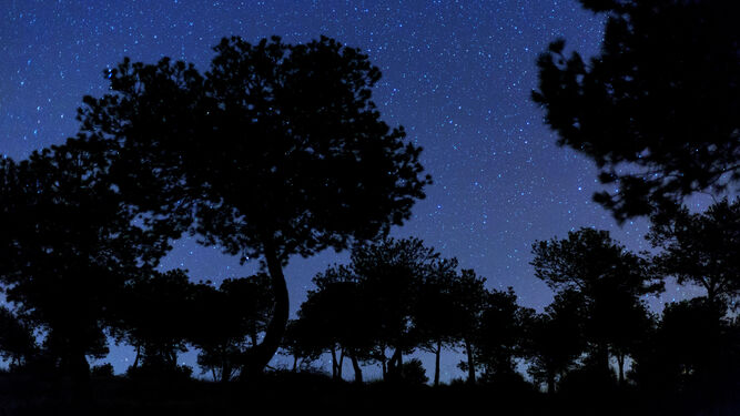 Cielo nocturno en la reserva Starlight en Córdoba.
