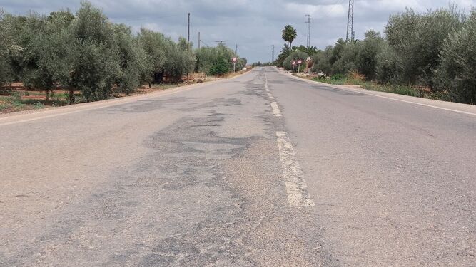 Estado de la carretera entre Los Arenales y Puente Genil.