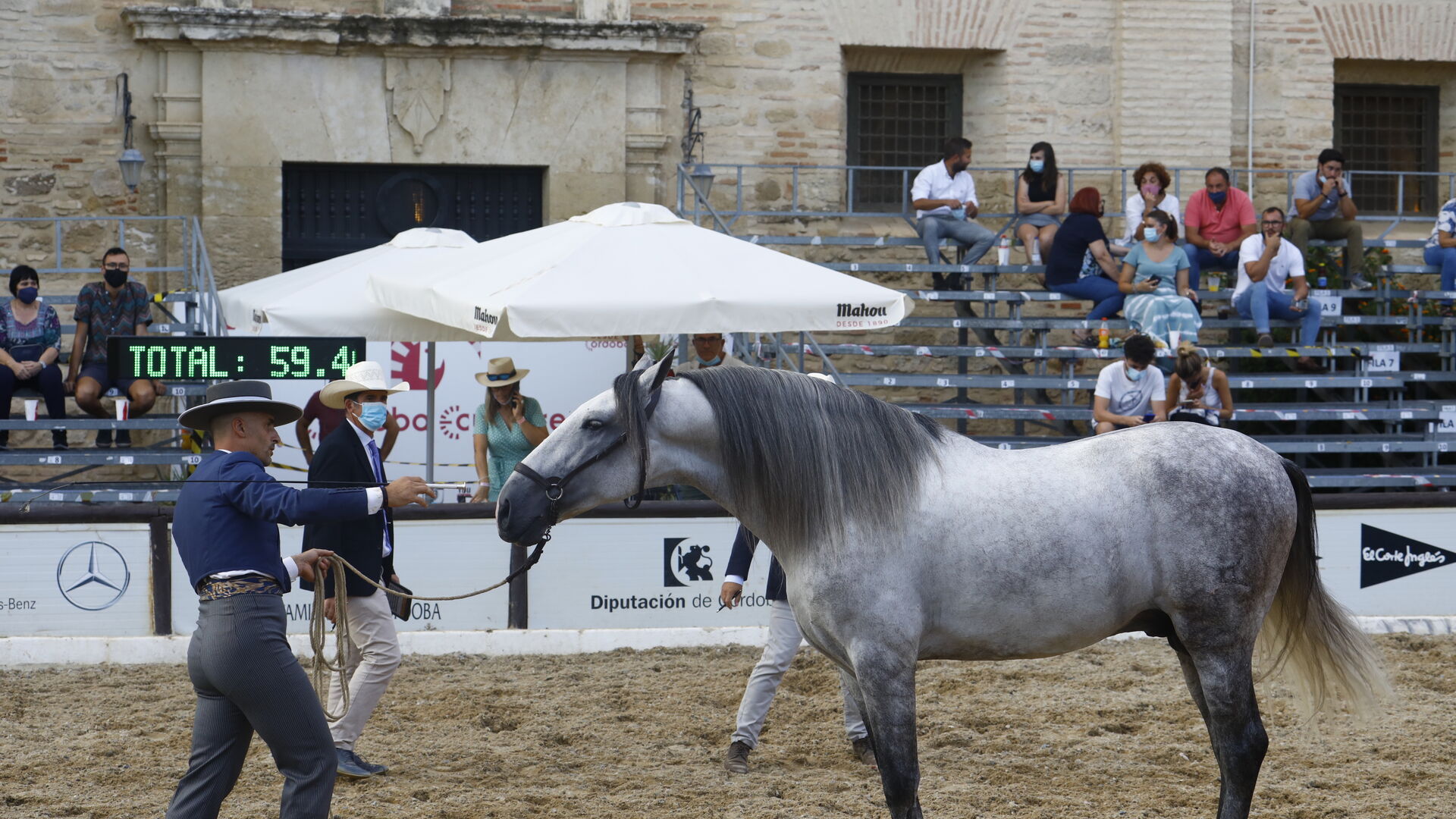 El concurso morfol&oacute;gico de caballos de pura raza de Cabalcor, en fotograf&iacute;as