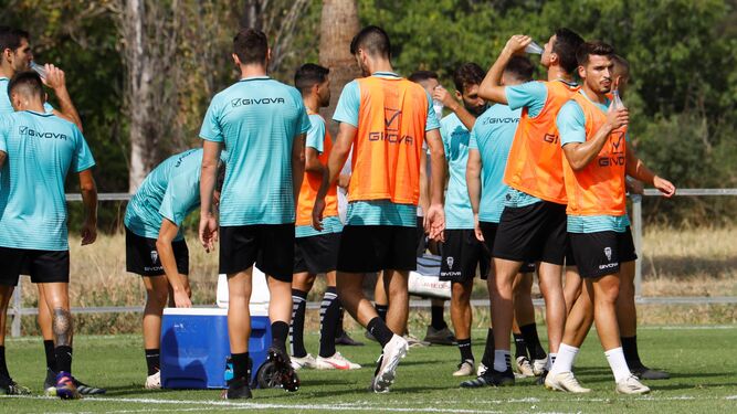 Los jugadores del Córdoba CF se refrescan en un parón en el entrenamiento.