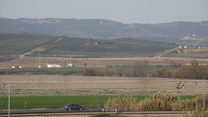 Terrenos de La Rinconada donde se alzará la base logística de Córdoba.