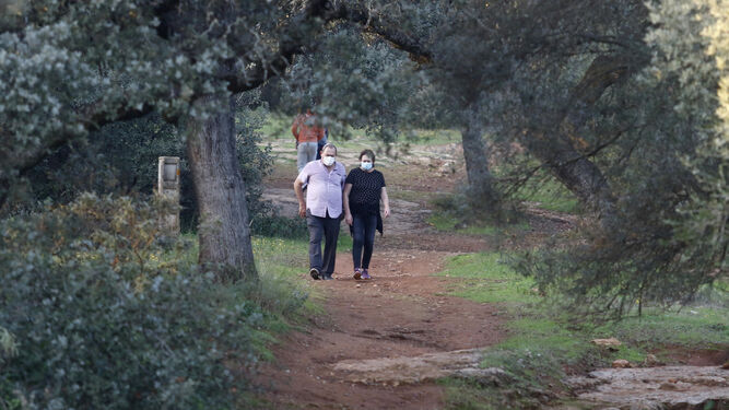 Una pareja pasea por el parque del Patriarca.